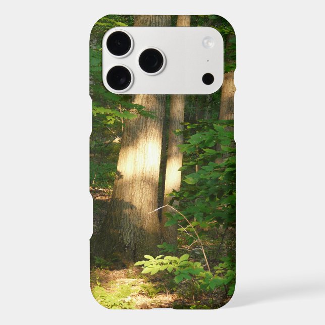 Forest Light-Nature (Back)