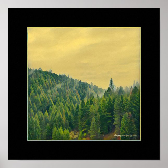 Forest Mist Poster (Front)