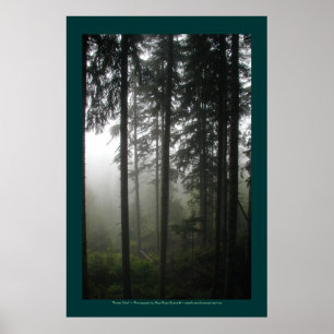 "FOREST MIST" Wilderness Forest Photo Print