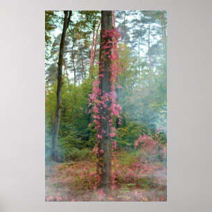 Forest mood poster