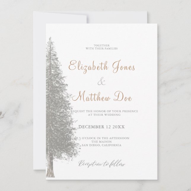Forest Mountain Winter Pine Tree Wedding Invitation (Front)