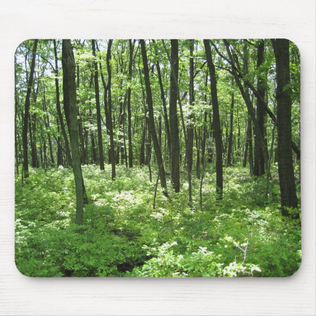 Forest Mouse Mat (Front)