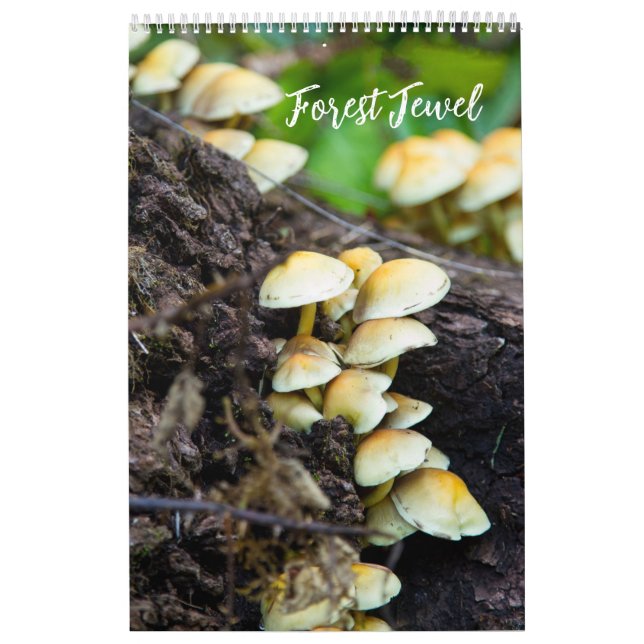 Forest Mushrooms Calendar (Cover)