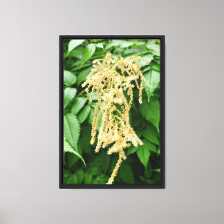 Forest Nature Canvas Print