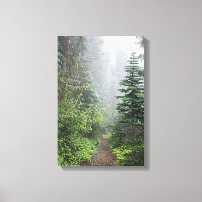 Forest Nature Canvas Print (Front)