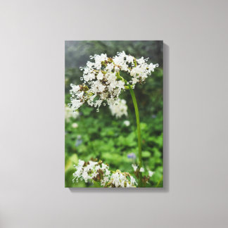 Forest Nature Canvas Print