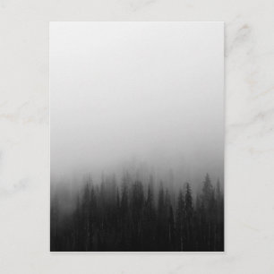 Forest Nature Landscape Scene Foggy Mystical Postcard