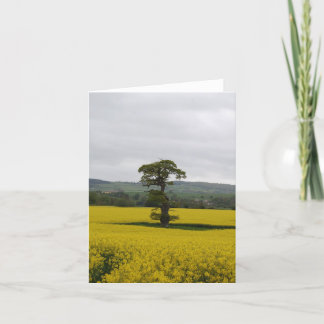 Forest Oak Holiday Card