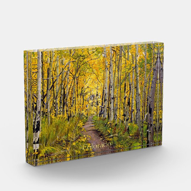 Forest of Aspen Trees Photo Block (Left)