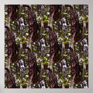 Forest of Dogwoods.... Poster