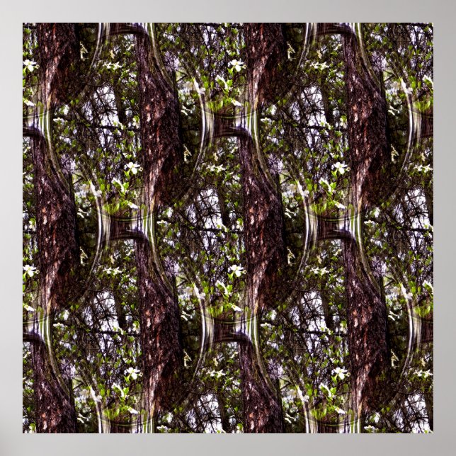 Forest of Dogwoods.... Poster (Front)