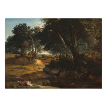  Forest of Fontainebleau