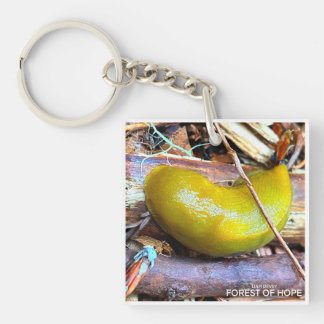 Forest of Hope Key Ring