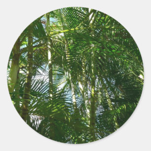 Forest of Palm Trees Tropical Nature Classic Round Sticker