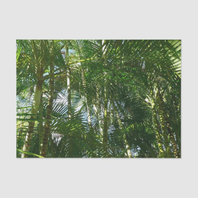 Forest of Palm Trees Tropical Nature Tissue Paper (Front)