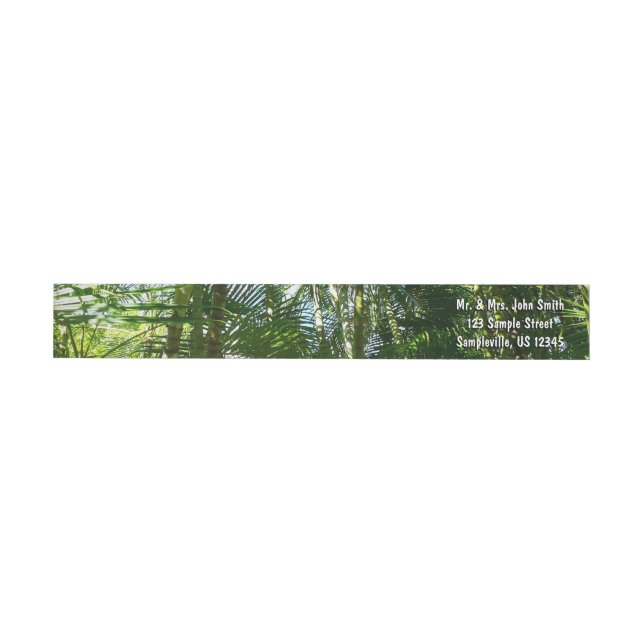 Forest of Palm Trees Tropical Nature Wrap Around Label (Individual)