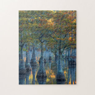 Forest of Pond Cypress Trees Jigsaw Puzzle
