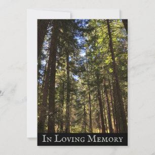 Forest of Trees Memorial Service Announcement