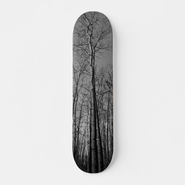 Forest of Trees Skateboard (Front)