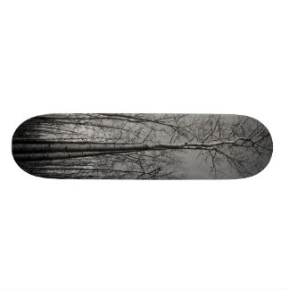 Forest of Trees Skateboard