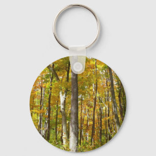 Forest of Yellow Leaves Autumn Landscape Key Ring