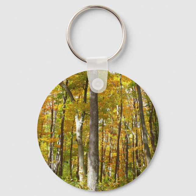 Forest of Yellow Leaves Autumn Landscape Key Ring (Front)