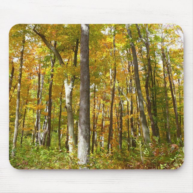 Forest of Yellow Leaves Autumn Landscape Mouse Mat (Front)