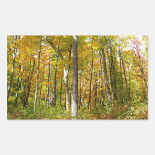 Forest of Yellow Leaves Autumn Landscape Rectangular Sticker