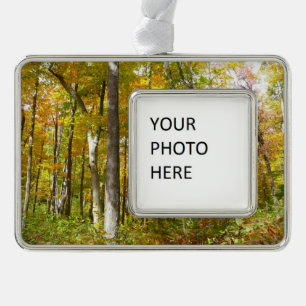Forest of Yellow Leaves Autumn Landscape Silver Plated Framed Ornament