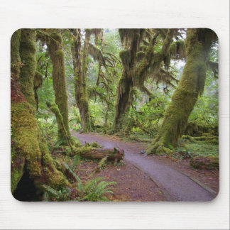 Forest Olympic National Park Mouse Mat