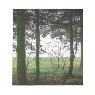 Forest overlooking clearing in the fog notepad
