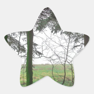 Forest overlooking clearing in the fog star sticker