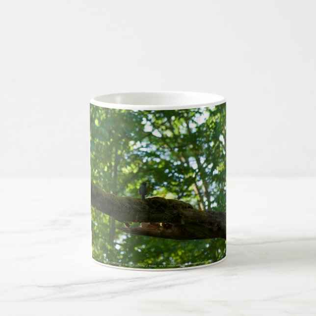 Forest Overpass Coffee Mug (Center)