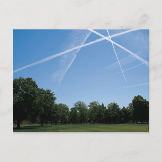 Forest Park Postcard