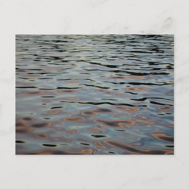 Forest Park Waterways Postcard (Front)