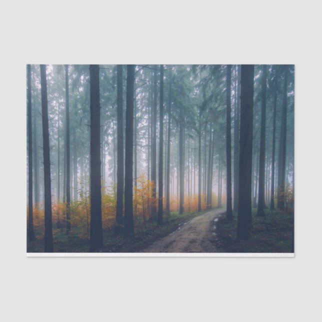 Forest Path 21 Decoupage Tissue Paper (Front)