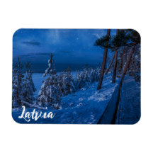 Forest path at winter night magnet