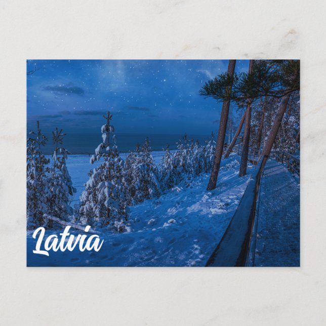 Forest path at winter night postcard (Front)
