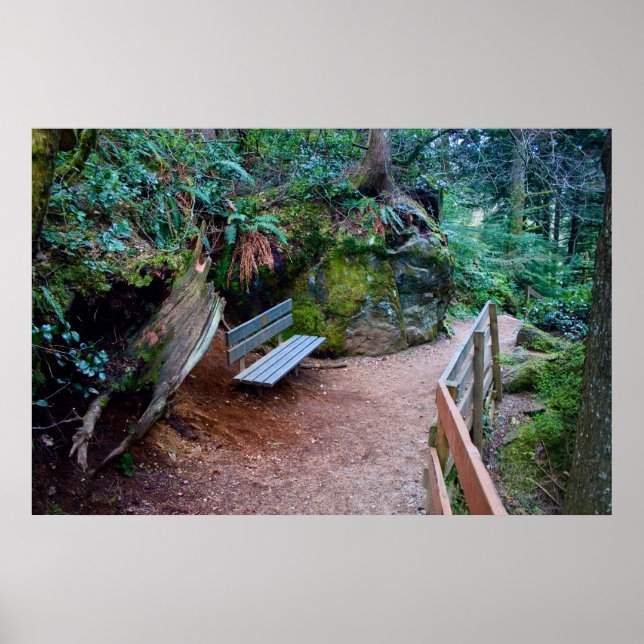 Forest Path Bench Print (Front)