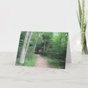 Forest Path Greeting Card