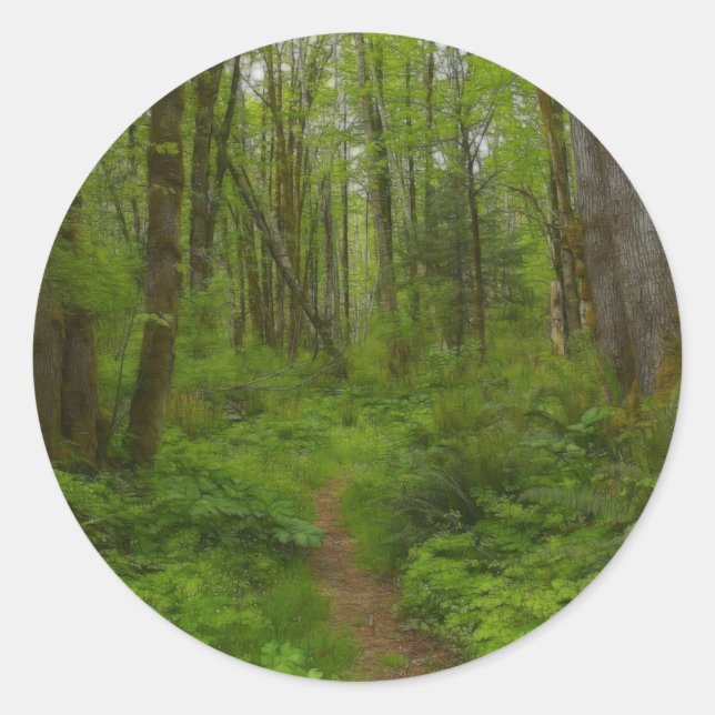 FOREST PATH Nature Scene Stickers (Front)