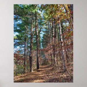 Forest path poster
