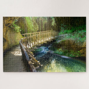 forest path puzzle