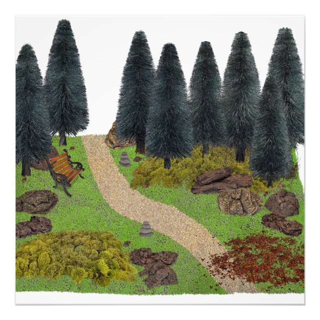Forest Path through the Park Photo Print (Front)