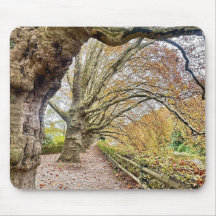 Forest Pathway Mouse Mat