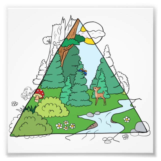 forest photo print (Front)