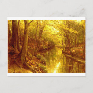 forest-pictures-8 postcard