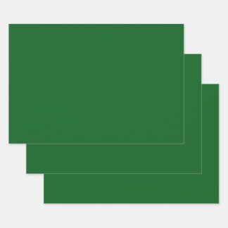 Forest Pine Green Solid Colour Wrapping Paper Sheet