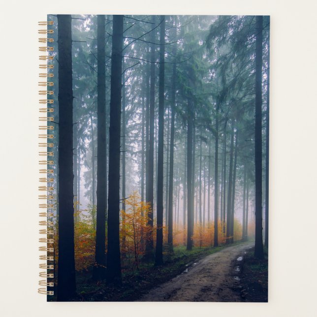 Forest Planner (Front)