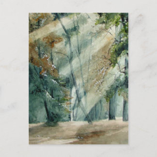 forest postcard